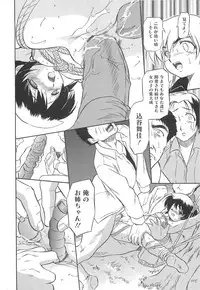 [Tomozawa Shou] Mitsu-iro no Tsubomi