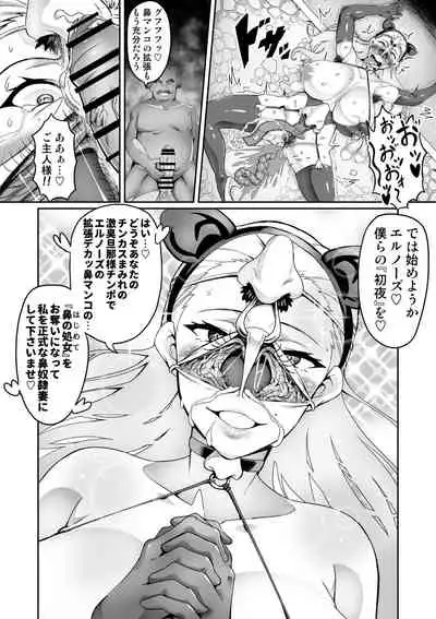 Birou Kishi Elnose