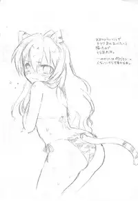 (C75) [Casmania (Mozuya Murasaki)] Catalyst + Kaijou Gentei Copy bon (Toradora!)