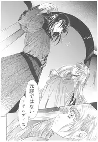 (C93) [Toko-ya (HEIZO, Kitoen)] Saint Foire Festival Richildis Soushuuhen