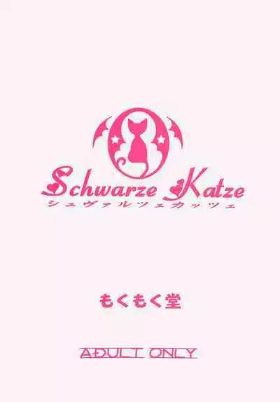 Schwarze Katze