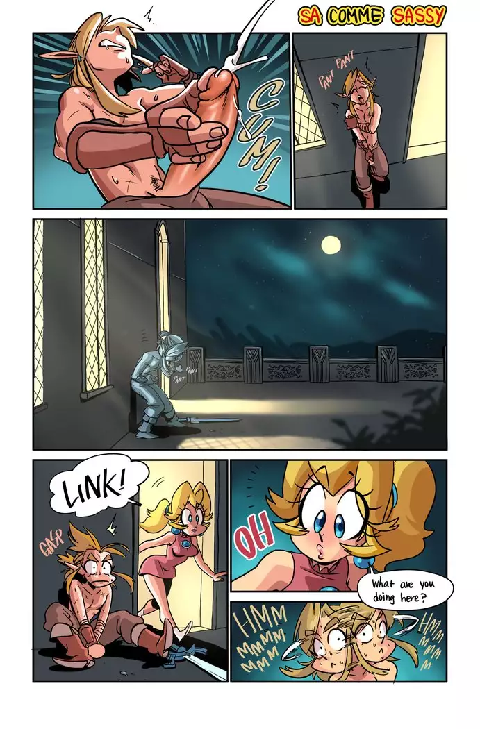 The Hero of Hyrule