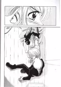 (SC23) [Yukimi Honpo (Asano Yukino)] Important (Fullmetal Alchemist)
