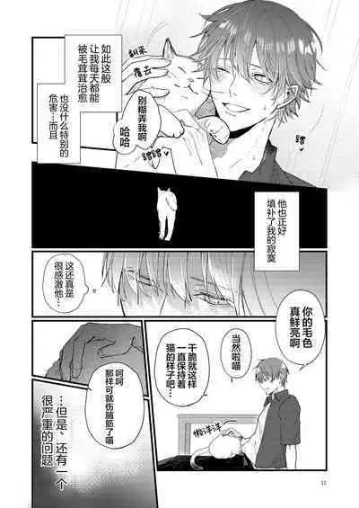 捡回家的猫竟是猫妖