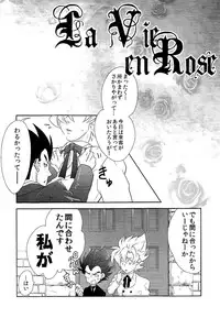 La Vie en Rose (DRAGON BALL Z)