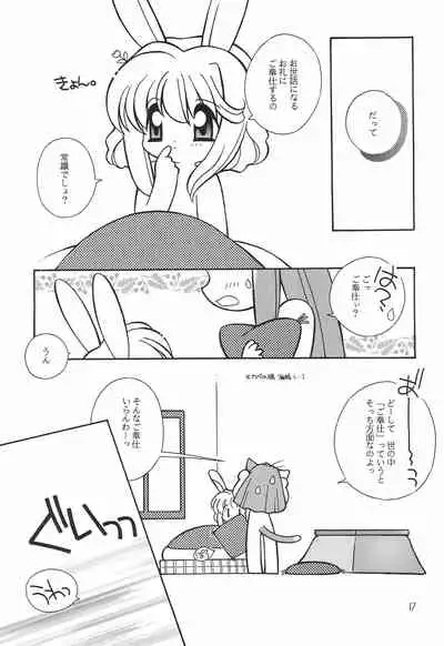 Himitsu Nikki