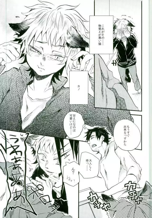 ウソツキネコ