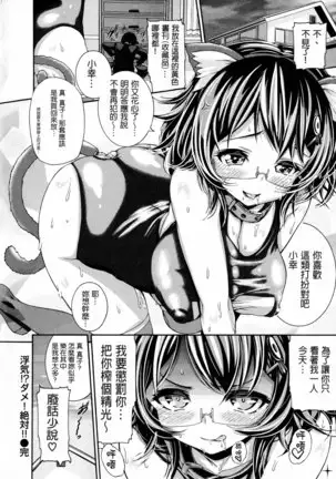 shisukeaiirasutokado