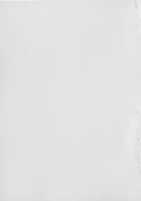 (C48) [Femme Enfant (Sibusawa Eiki)] Lyrical Angel (Nurse Angel Ririka SOS)