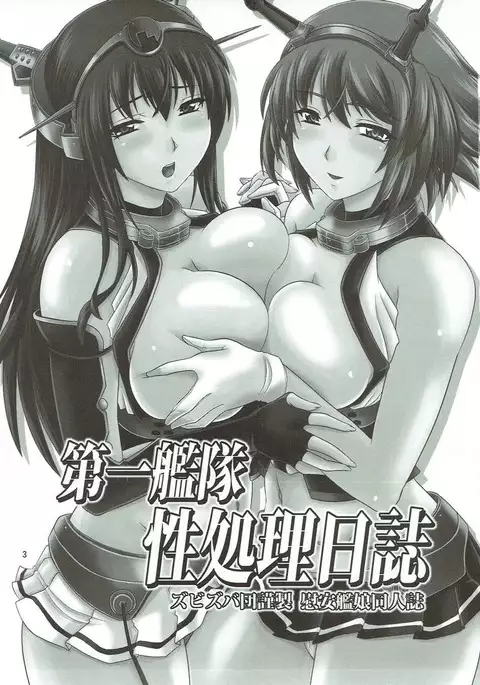 Daiichi Kantai Seishori Nisshi