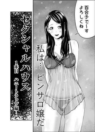Sexual House Vol.1