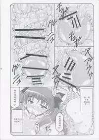 (C87) [Abarenbow Tengu (Izumi Yuujiro)] Kotori 11 (Fate/stay night) [Chinese] [个人汉化]