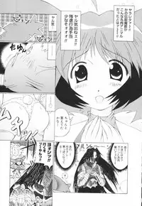 [Combat Echizen] Oneechan Bousou Tokkyuu!