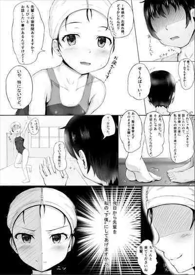 Seitokai no Himitsu
