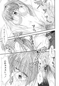 [Shiira Sara] LOVE & PEACE