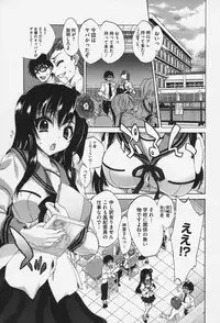 [Sansyoku Amido.] Pure Lesson