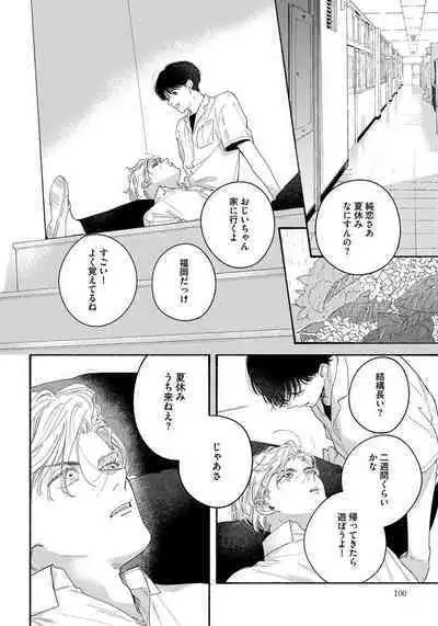 Kimi no Sumire