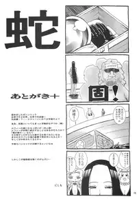 (C76) [MANGANA (Doluta, Nishimo)] NyanNyan Hebihime (One Piece)