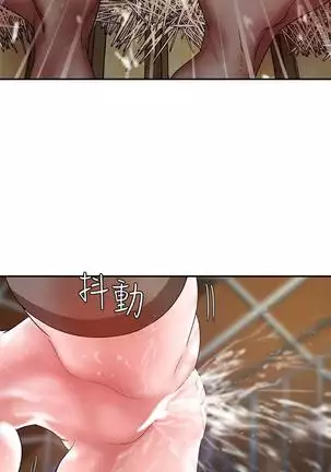 母豬養成計畫