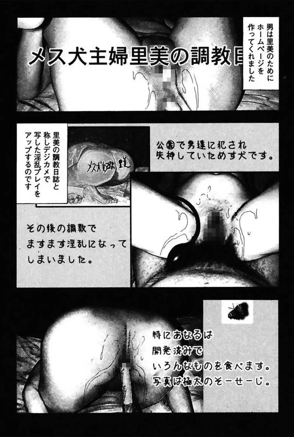 Niizuma No Shuuchi Play