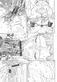 [From Japan] FYC R14Y (Various)