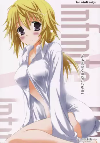 (C81) [SONIC WINTER (Tsukishima Kai)] Carol (Infinite Stratos) [English]