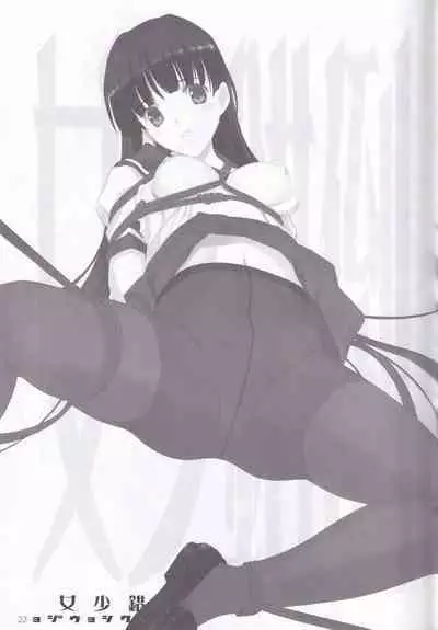 tousaku syojo