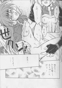 (C51) [Pinky Heaven (Hinoki)] W-Mix (Slayers)