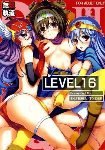 Dragon Quest III - Level 16