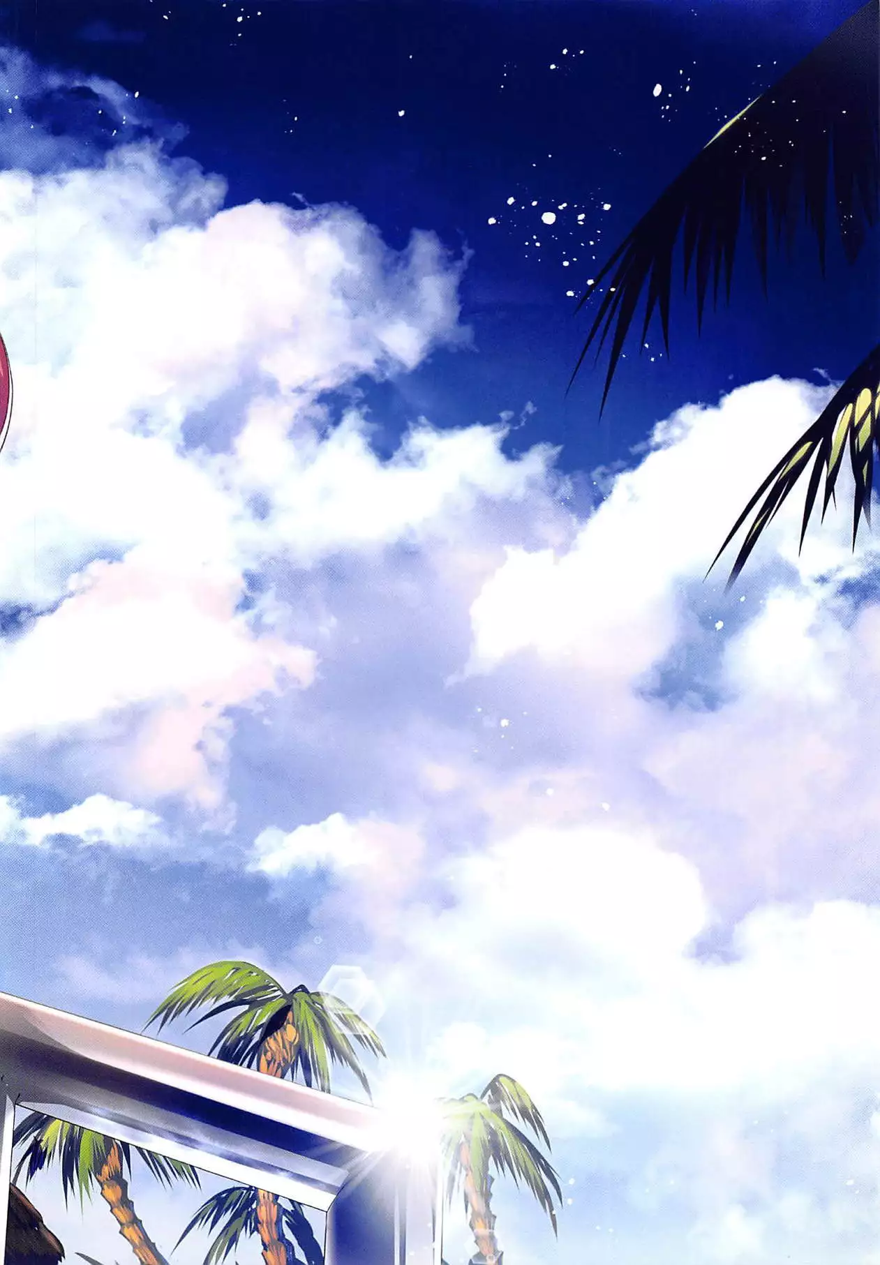 COCONUTS SUMMER