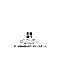 (C90) [Satellites (Satetsu)] Second marriage (Touhou Project) [English] [ATF]