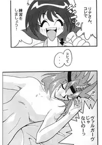 [Ginmomodou (Mita Satomi)] Slayers Adult 8 (Slayers)