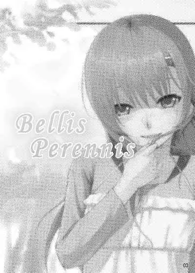Bellis Perennis