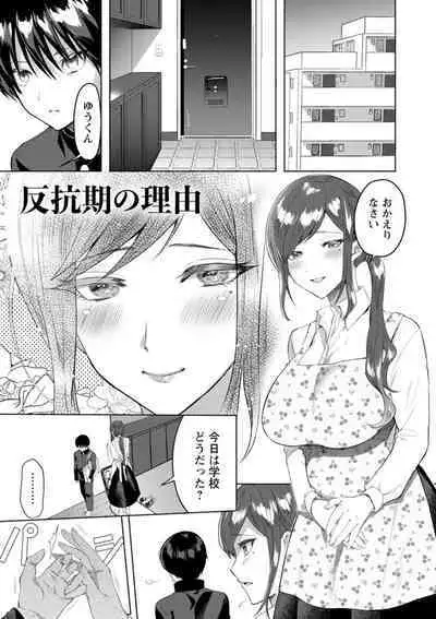 Himitsu no Meshibe