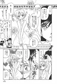 [Sano Takashi] Petit A La Mode