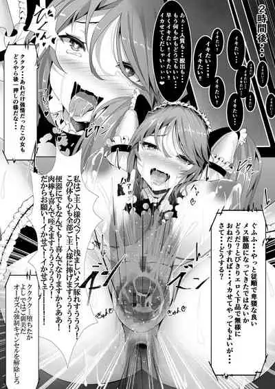 Mahou Shoujo VS Kikaikan Choukyou