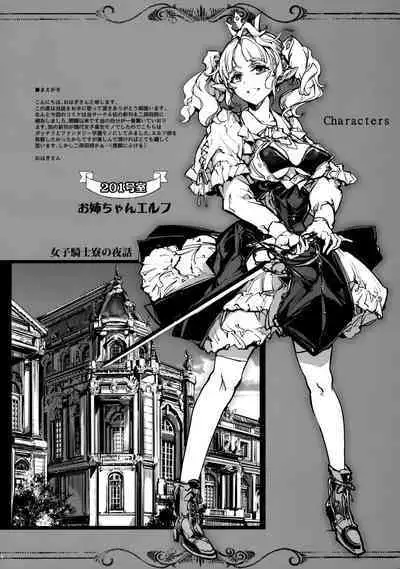 The Virgin Knights secrets at Night