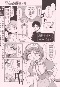 [STUDIO RUNAWAY WOLF (Nakajima Akihiko)] Miko vs Maid No. 4 (Various)