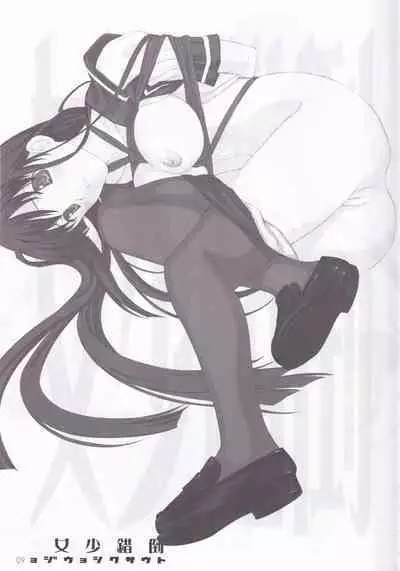 tousaku syojo