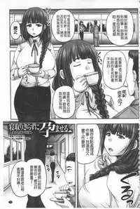[Akigami Satoru] HARAMASEX!! | 受孕的性愛!! ~墮落的寢取偷吃牝豚們~ [Chinese]
