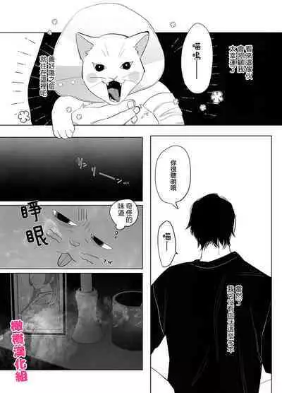 bake neko to mibōjin｜猫与未亡人