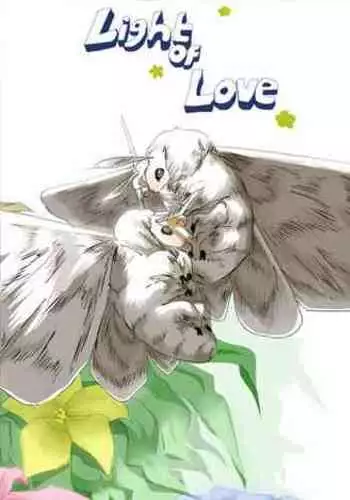 Light of Love