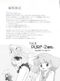 (C43) [Team PRINCESS (Ozuno Mahou)] PURI² (Various)