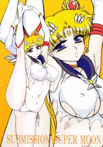 (C84) [BLACK DOG (Kuroinu Juu)] SUBMISSION-SUPER MOON (Sailor Moon)