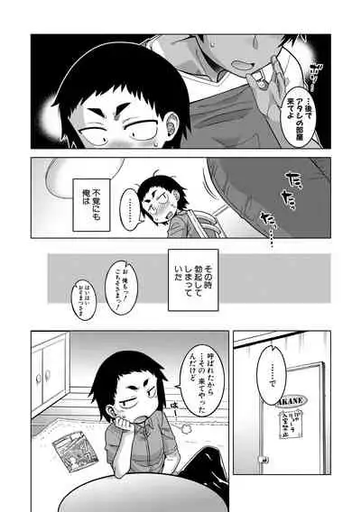 Chotto Bijin de Mune ga Dekakute Eroi dake no Baka Nee