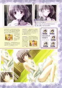 Canvas Visual Fan Book