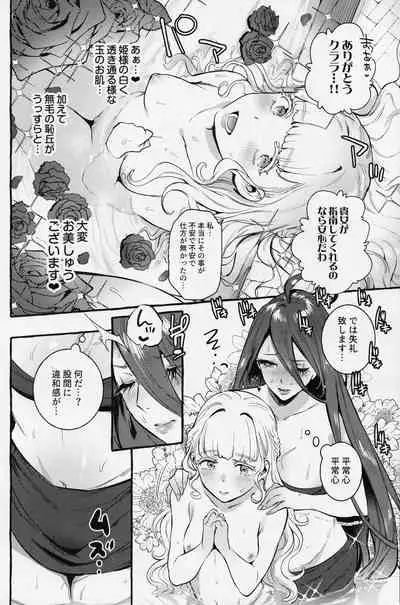 Ochinpo Onna Knight to Shojo Hime