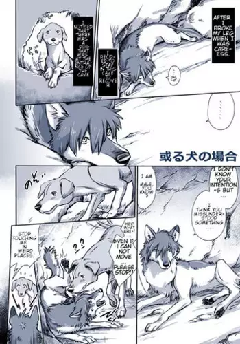 Saber!?!? Chinkasu Souji!??!