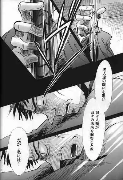 <Shinyaku> neon genesis document G