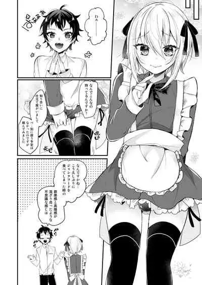 Hakoiri Maid